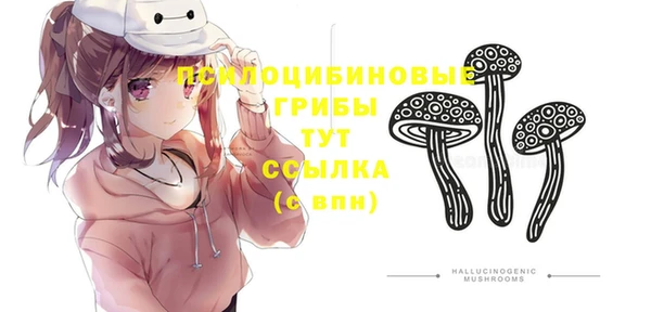 кокс Приозерск
