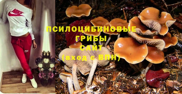 дживик Ростов