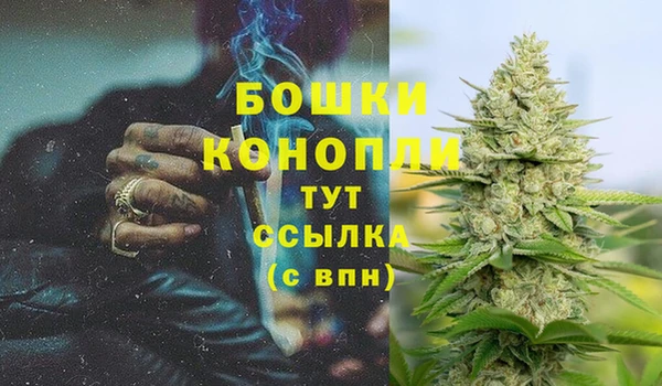 СК Пролетарск